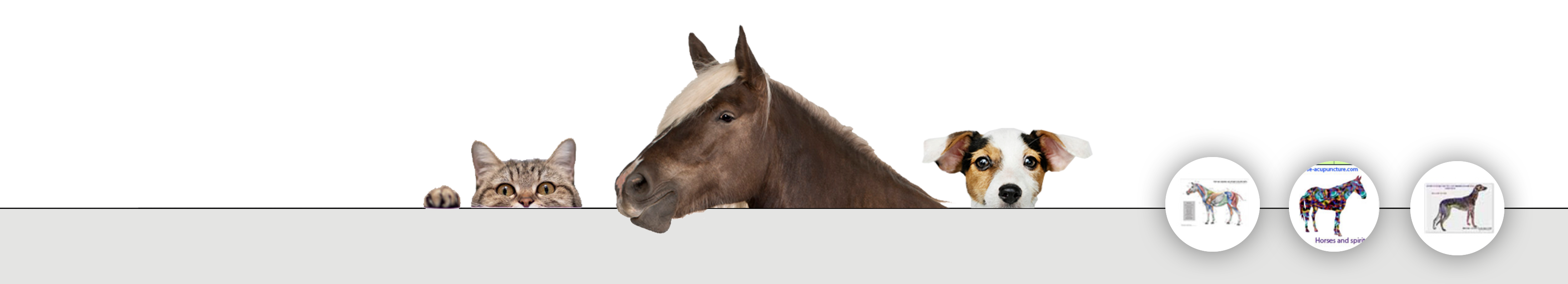 animal acu separator